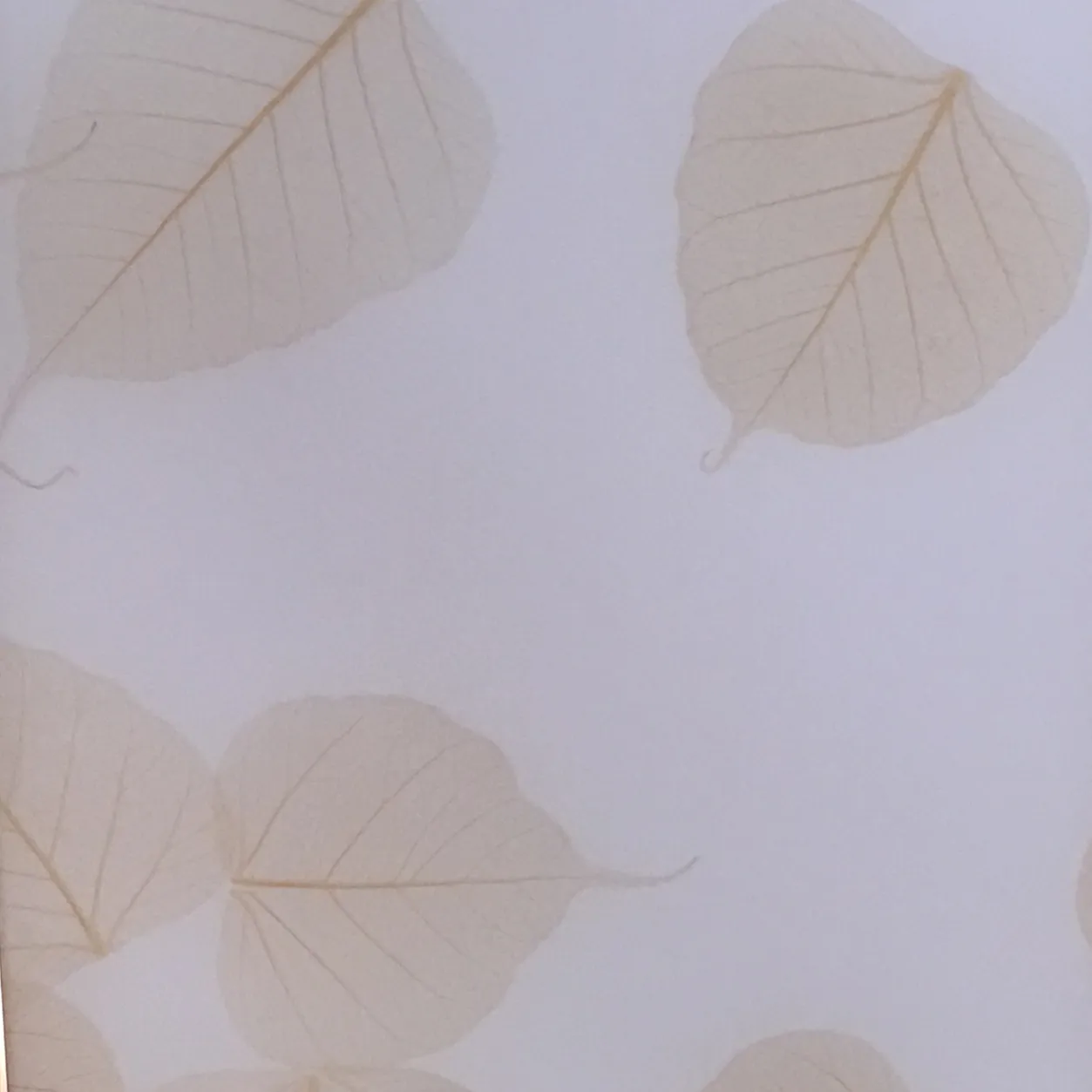 Styles Flora Decorative Partition Designs Translucent PETG Sheet