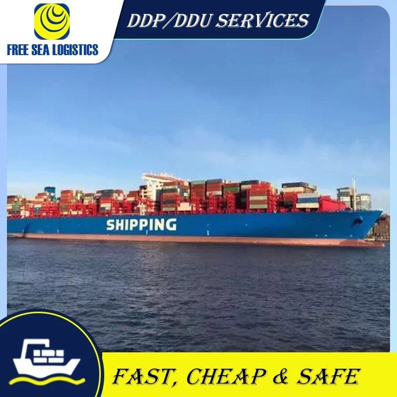 china forwarding agent sea shipping to Malaysia/Brunei/Singapore DDP/DDU door to door shipping agent
