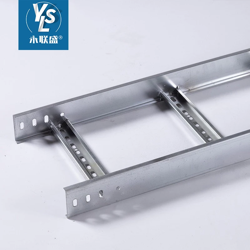 Popular Steel 200*100 Cable Tray Outdoor Hot Dip Galvanized Cable Ladder