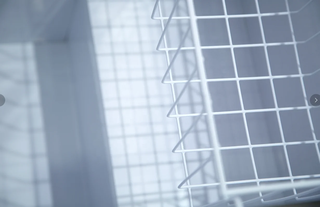 SNOWSEA BD-268 Restaurant Equipment Refrigerator  Deep Freezer Fridges for Home