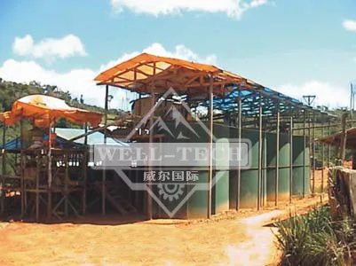 Small scale CIP  gold processing plant