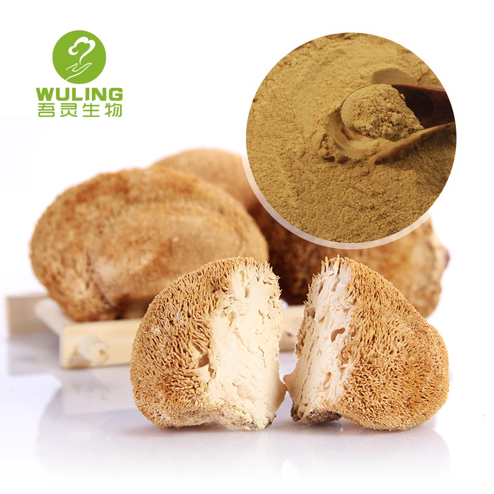 Диетическая добавка, 100% растворимый в воде порошок гривы льва, порошок гриба, экстракт травы обыкновенной, пищевые добавки, 100 сетка