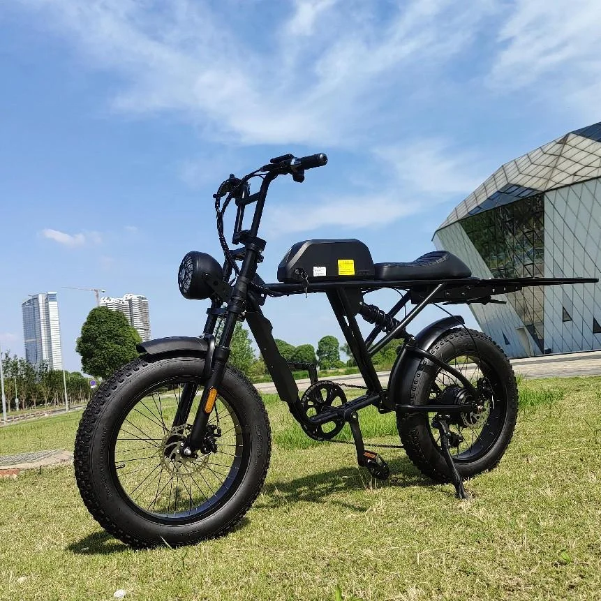 2022 Most Popular 20Inch Chinese Road Long Range Fat Tire Folding Mountain City Dirt Electric Bike
