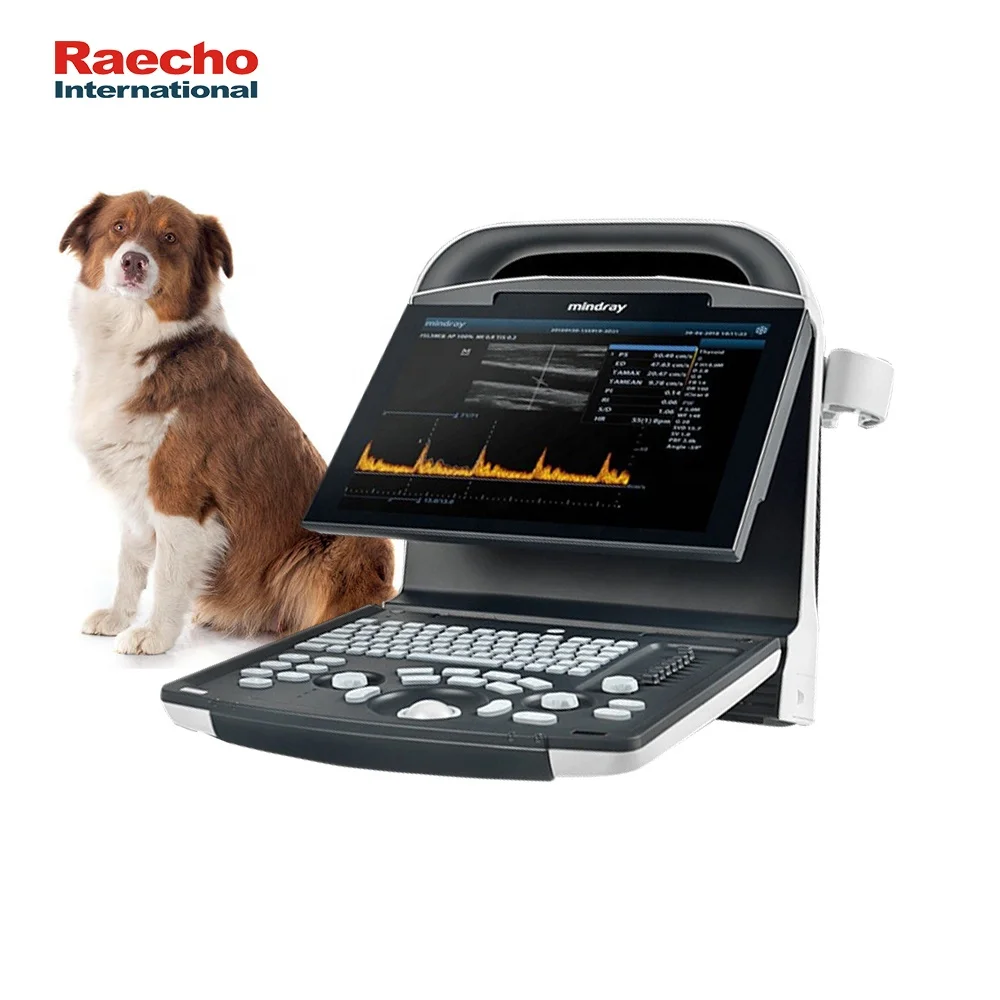 Hot Selling Mindray DP10 Vet Ultrasound Machine Ultrasound Scanner for Veterinary