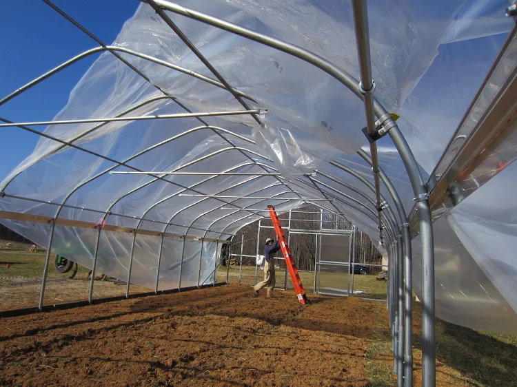 Single Span PE Film Galvanized Steel Frame Greenhouse Agriculture Plastic Greenhouse Tunnel Type