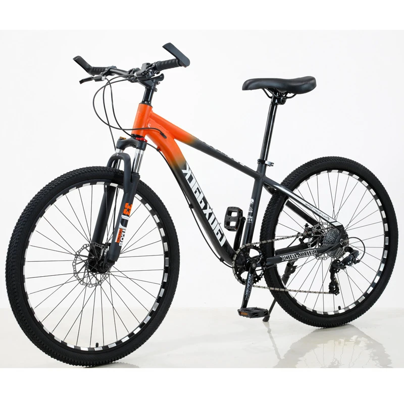 Custom Mountain Bike With Full Suspension MTB Frame Cycling 26 27.5 29 Fully Alloy Philippine Money