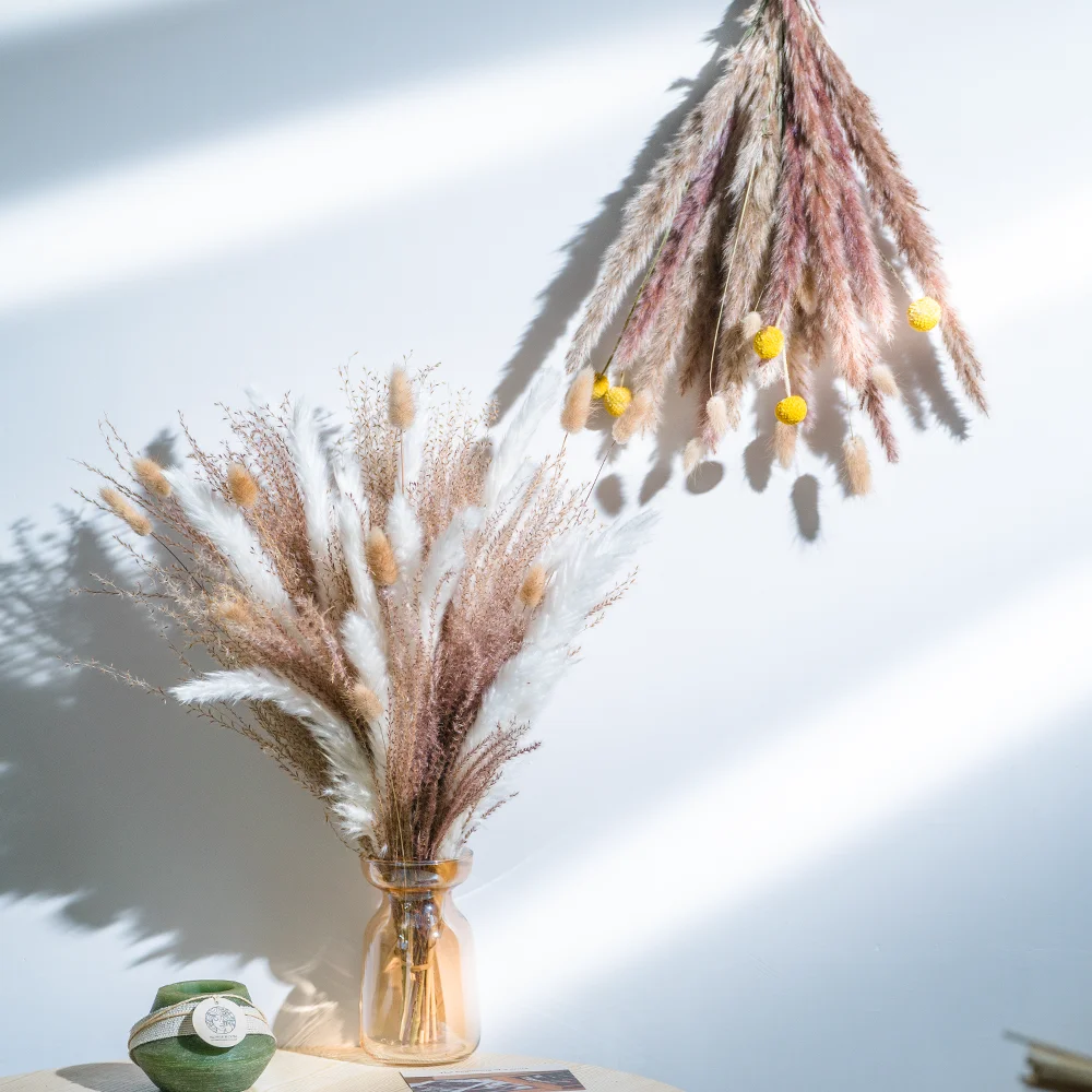 free sample Pampas Grass bouquet dried flower For wedding decoration Home decoration decorative flowers & wreaths