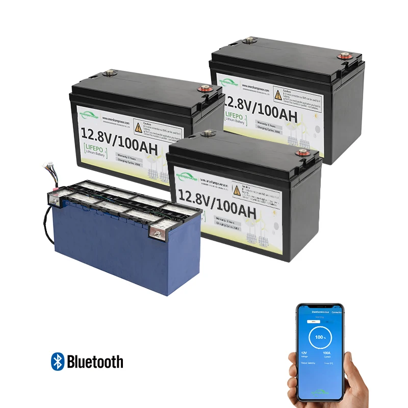 Перезаряжаемый 200ah сухой Солнечный LiFePO4 100ah 12 Вольт 24V литий-ионный аккумулятор