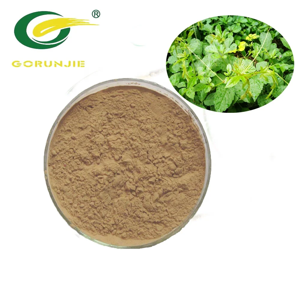 Gynostemm Extract Gypenoside 80% Powder & OEM Service