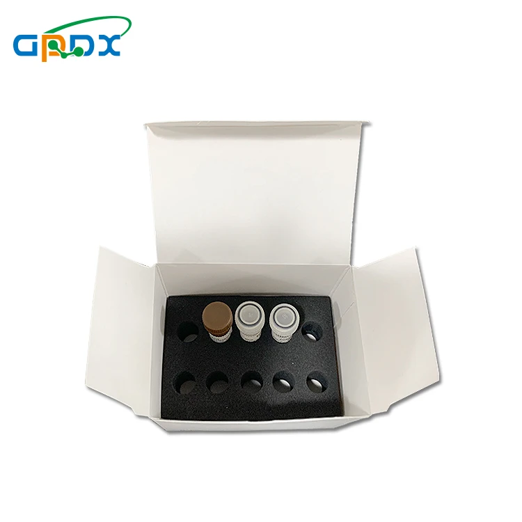 Real Time PCR Neisseria Gonorrhoeae/Chlamydia Trachomatis/U. Urealyticum  test Kit