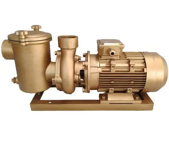 3 HP full brass Pool Pump Big flow Swimming Pool salt water circulation in ground and pool filtration system anti-corrosive pump