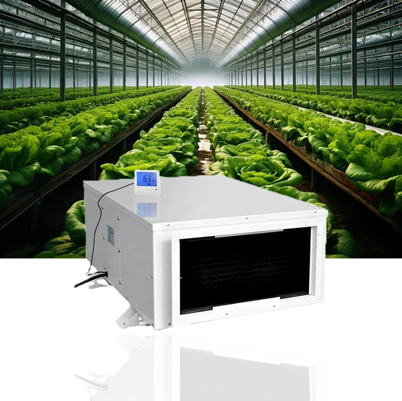 Hot sales energy saving ceiling mounted dehumidifier for greenhouse and swimming pool