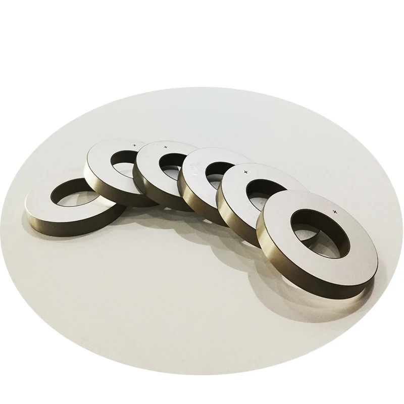 Ultrasonic Piezoelectric Ceramic Disc Piezo Ceramic Plate Piezoceramics Ring