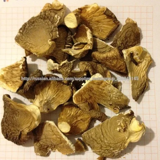 Китайские грибы вешенки 2*4см