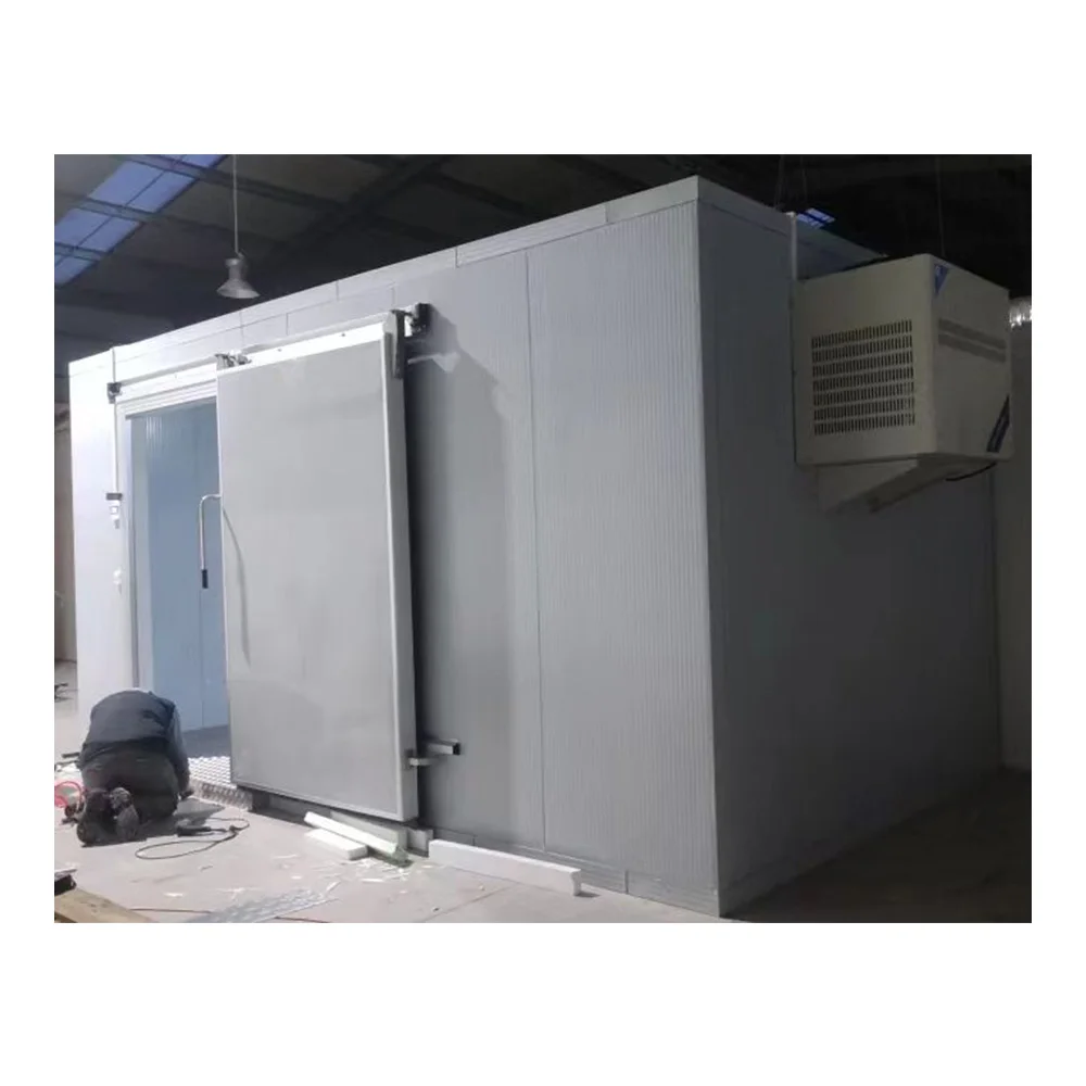 Refrigeration Compressor Cold Storage Solar Wall Mounted Refrigeration Equipment Freezer Mono block Condensing