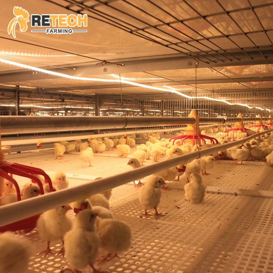 Продажа системы клетки для куриных ферм на батарейках