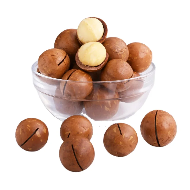 2024 new Macadamia crops harvested  Wholesale Macadamia Nuts Salted Roasted Healthy Food Macadamia in Shell 20-25mm