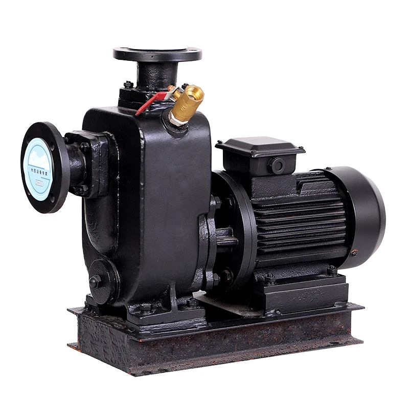 High Electric Self-Priming Waste Water Pump Anti-Corrosive Cast Iron Steel Vertical Pump Sewage Sulphuric Acid OEM Customizable