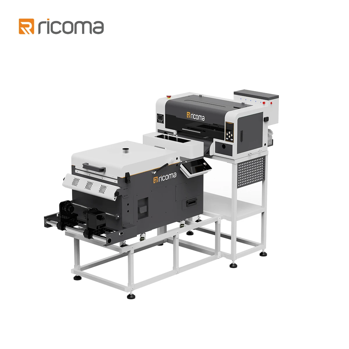 RiCOMA Mini DTF Printer 300mm Roll-to-Roll Direct to Film Printing Machine for Tshirt and Cap