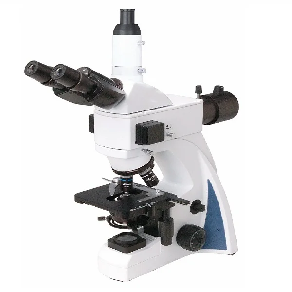 BestScope BS-2040FT(LED) Флуоресцентный Биологический микроскоп с бесконечное полу-ПЛАН Ахроматический