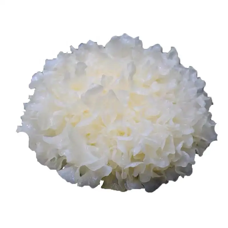 Best White Tremella Mushrooms Snow Fungus wholesale price delicious organic fungus affordable price