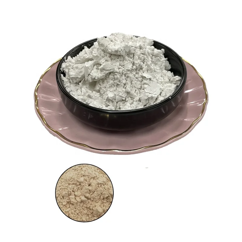 China Factory Supply Calcined Flux Diatomaceous Earth Catalyst Application CAS 68855-54-9 Diatomite Powder
