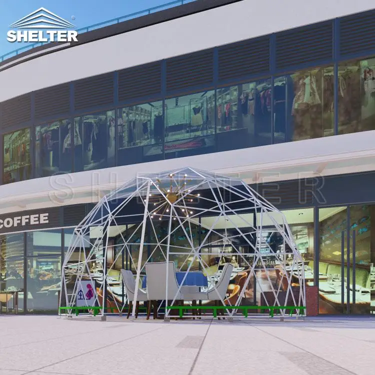 Clear Garden Winter Dome Igloo, 4m Transparent Geodesic Dome Outdoor
