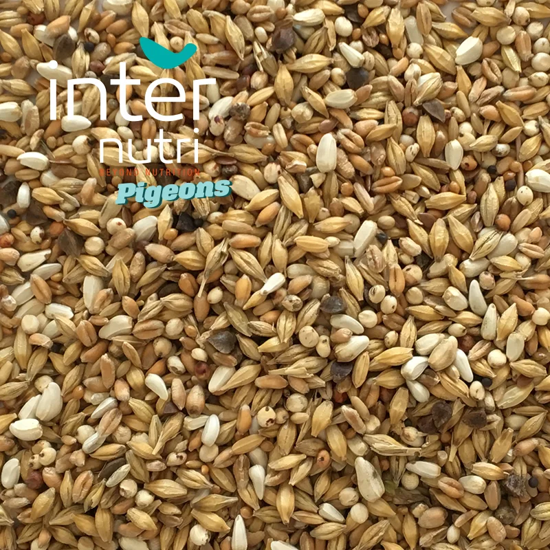 Seed mixture for pigeons | INTERNUTRI PIGEONS DEPURATIVE (without maize) 20KG