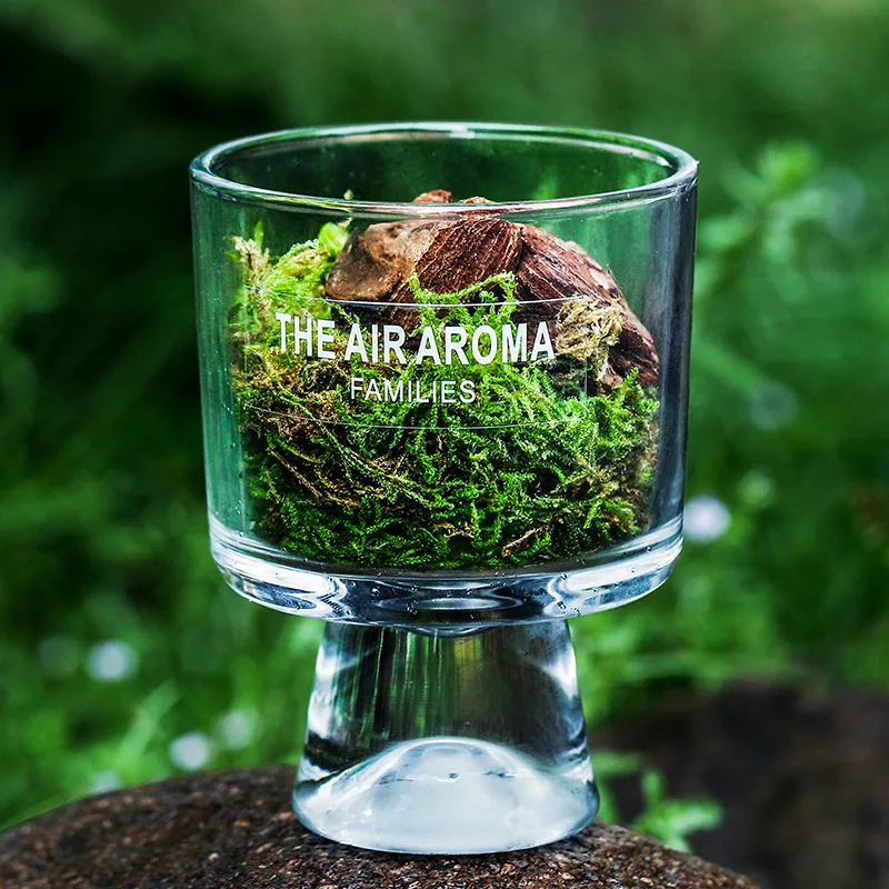 Natural Moss Mini Forest Aromatherapy Modern Home Decor Interior Air Aroma Fragrance Diffuser