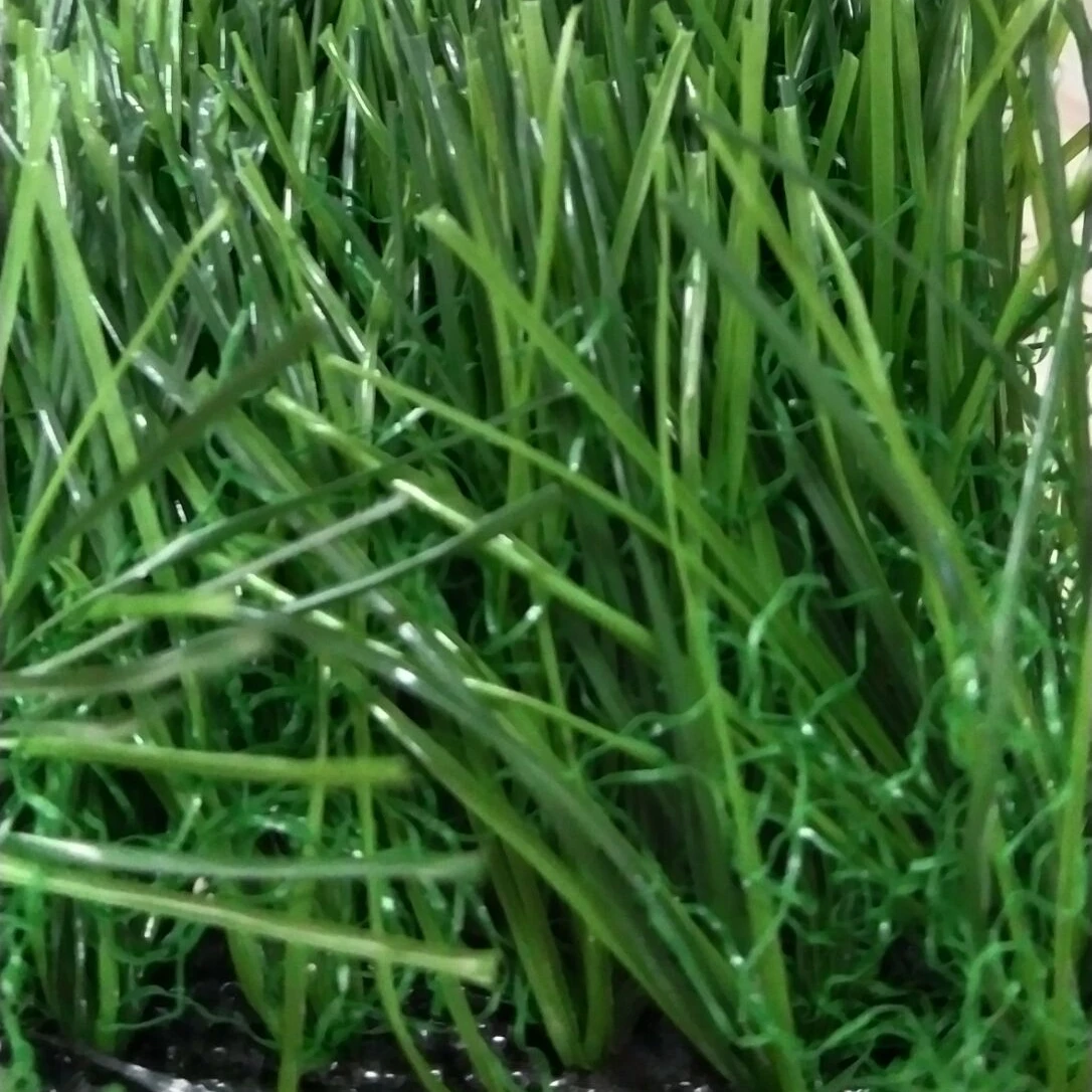 Meisen Low Price Artificial Grass 20mm 25mm 30mm for Thailand Vietnam India Hot Sales Colorful home Garden Landscapes Carpets