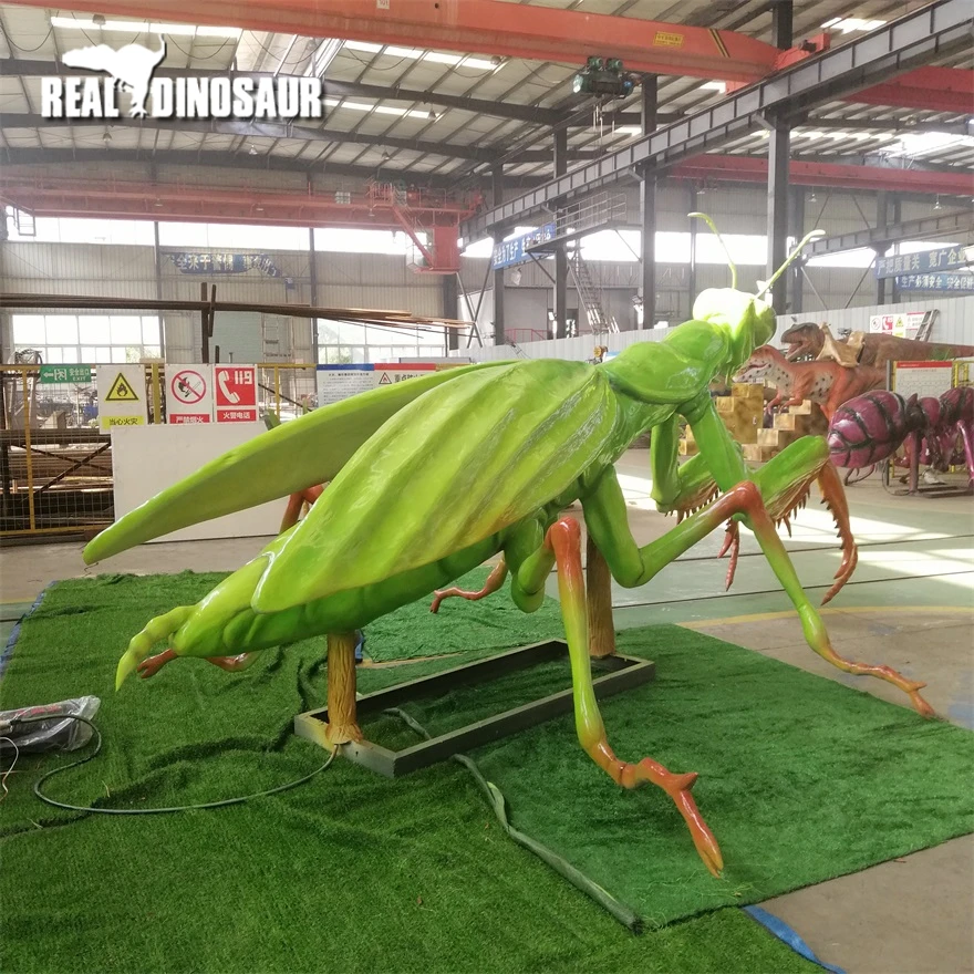 Zoo Botanical Garden Simulation Insect Model Insect Specimen