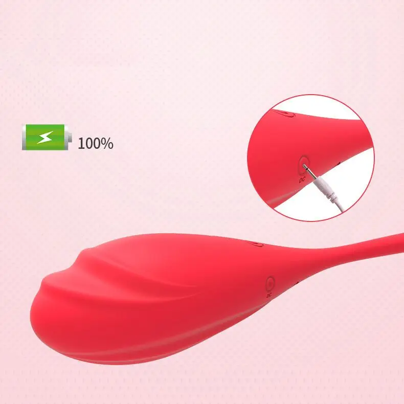 Vibrating Panty Toys Wireless Remote Apps Remote Control Vibrators Sex Toys Egg Poppers (For Women)