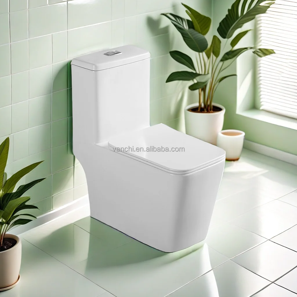 type wc sanitary toilet bathroom designer manufacture toilet floor installation wash down one piece self cleaning toilet price