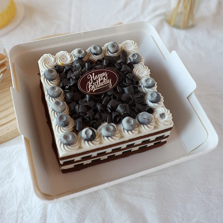 Stamping Cosmetic Pulp Mold Take Out Food Box Hot Sell Pulp Mold Take Out Food Box