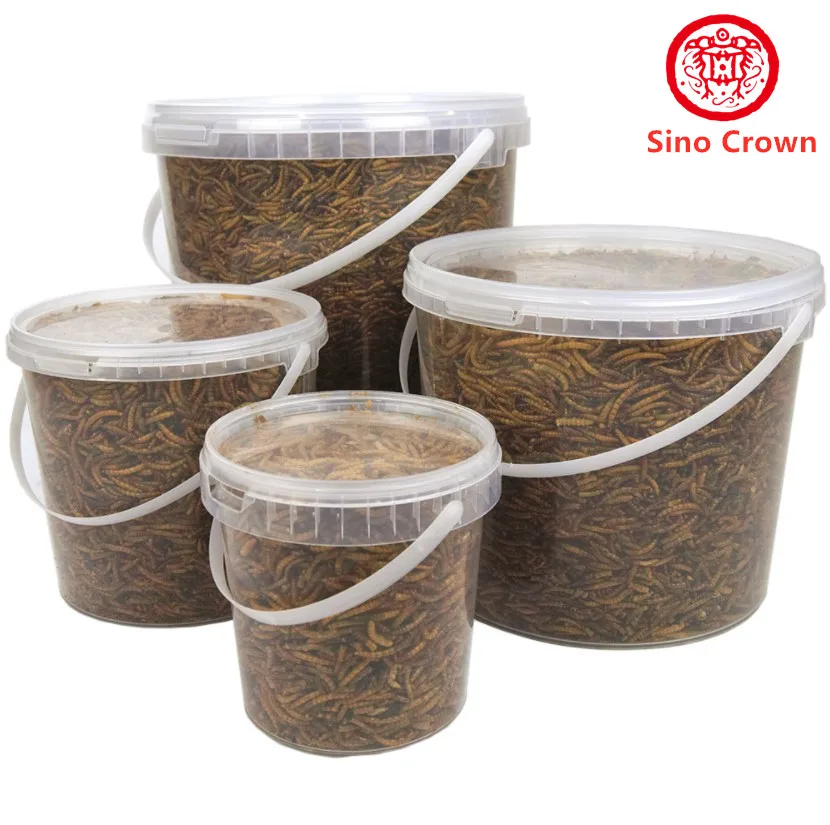  Сохнущий протеин для пищевых продуктов mealworm