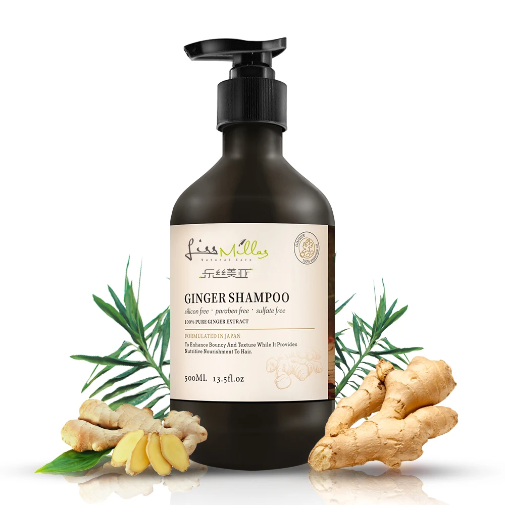 
luxury wholesale Shampoo hair wash Organic Anti hair loss follicle massage OEM/ODM hair wash private label 