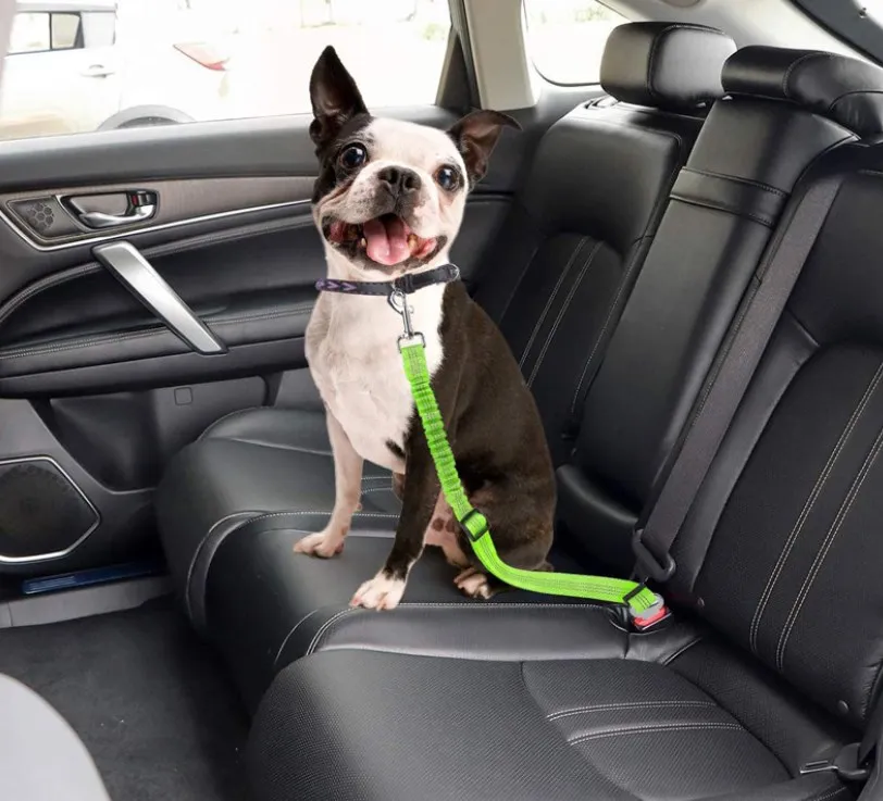 Retractable Safety car seat belt leash for dog travel set with metal buckle Reflective 2023 new product accessory