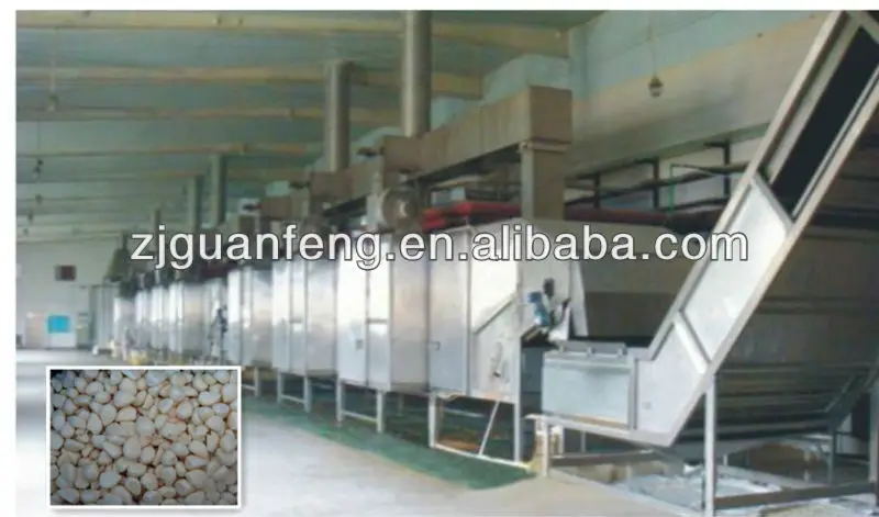 Continuous Industrial Conveyor Mesh Belt Dryer for Fruit Vegetable Seaweed Pepper Herb Chilli Coconut