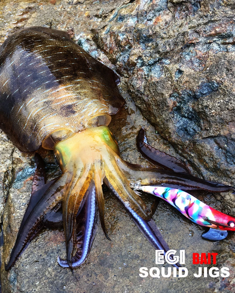 Japan quality saltwater 3.5# EGI Squid Jig wood shrimp squid hook fishing lure