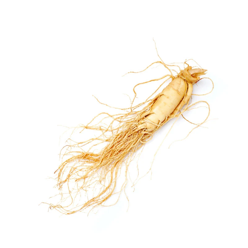 100% Natural herbal extract ginseng root and ginsenoside rh2 for anti aging