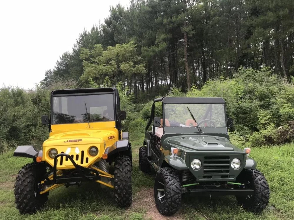 
New Design 4 People Off Road Dune Buggy/Mini Jeep/Electric Car For Fun 