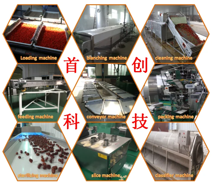 Independent Cabinets Factory Direct SS Stainless Dehydrator Commercial Freeze Dehydrated Fruits Food Mango Drying Dryer Machine