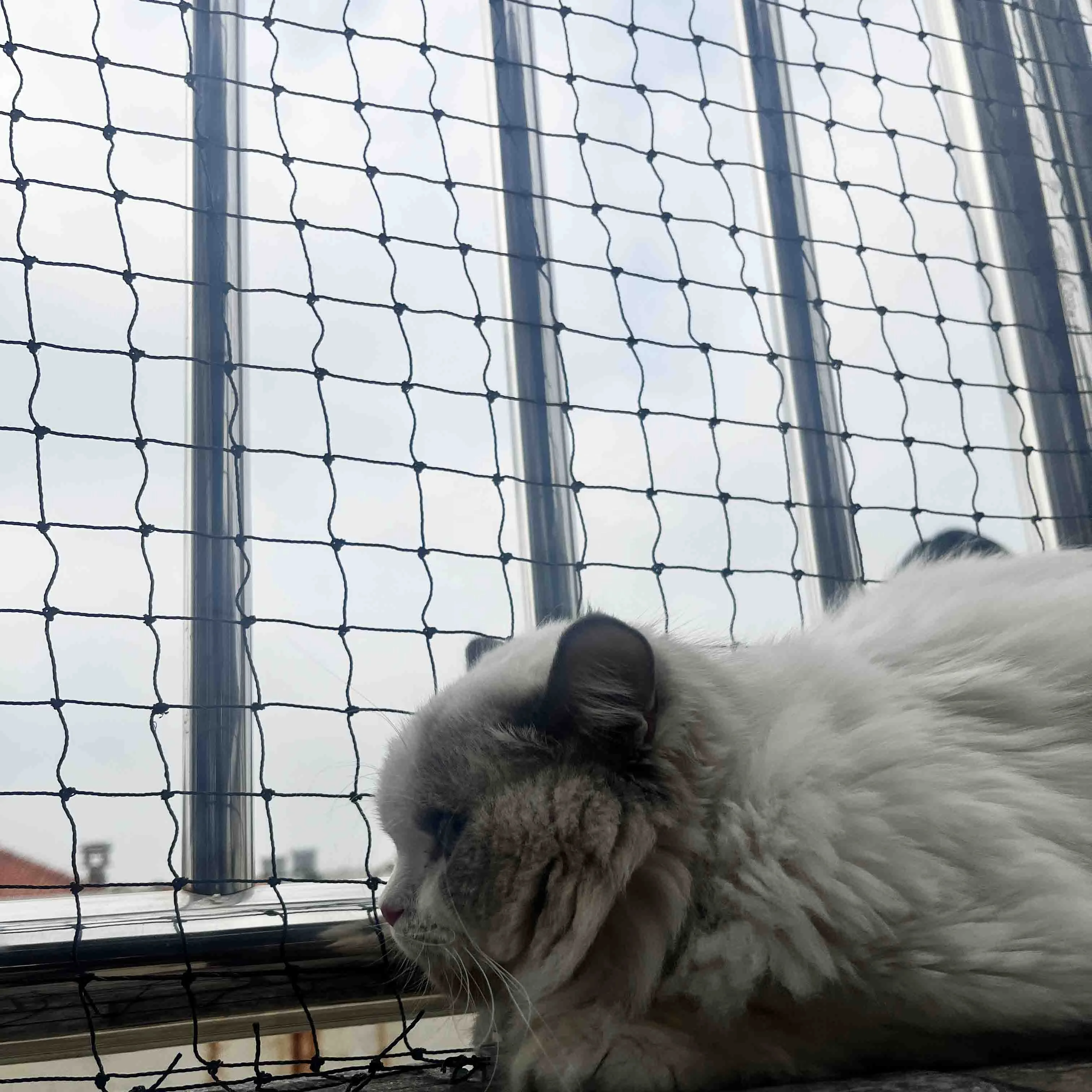 pet fence cat safety net, balcony protection net Suitable for installation on indoor and outdoor windows, stairs and balconies