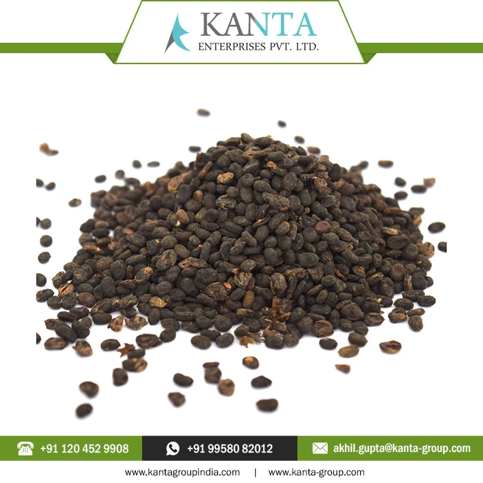 Private Label OEM / ODM Top Quality Carrier Oil  Psoralea Seed Oil at Wholesale Price From Indian Supplier