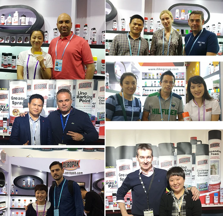 
China Paints Suppliers Aeropak Cold Galvanizing Spray Paint 