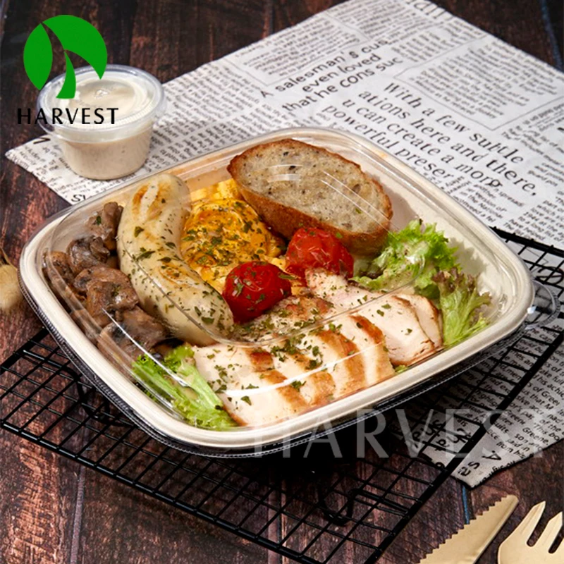 Takeaway Catering Biodegradable Disposable CB48 Sugarcane Pulp Bagasse Salad Bowl