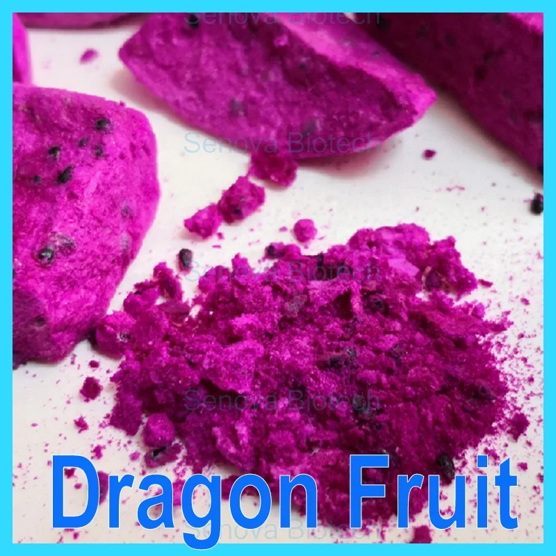 1Kg 2Kg Fruit Vegetable Dessert Dairy Small Mini Food Vacuum Freeze Dryer