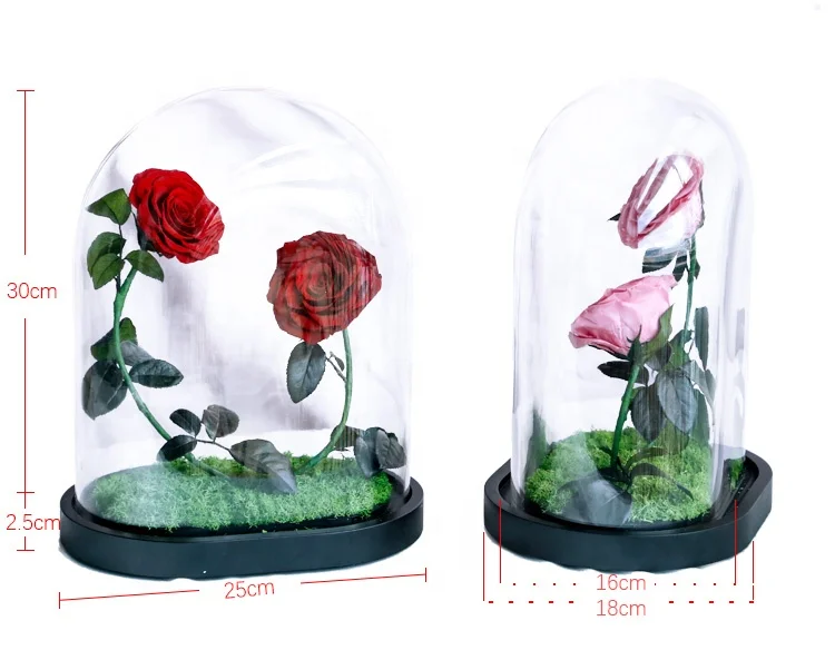 2020 Feiliya factory wholesale immortal eternal flower roses preserved glass dome