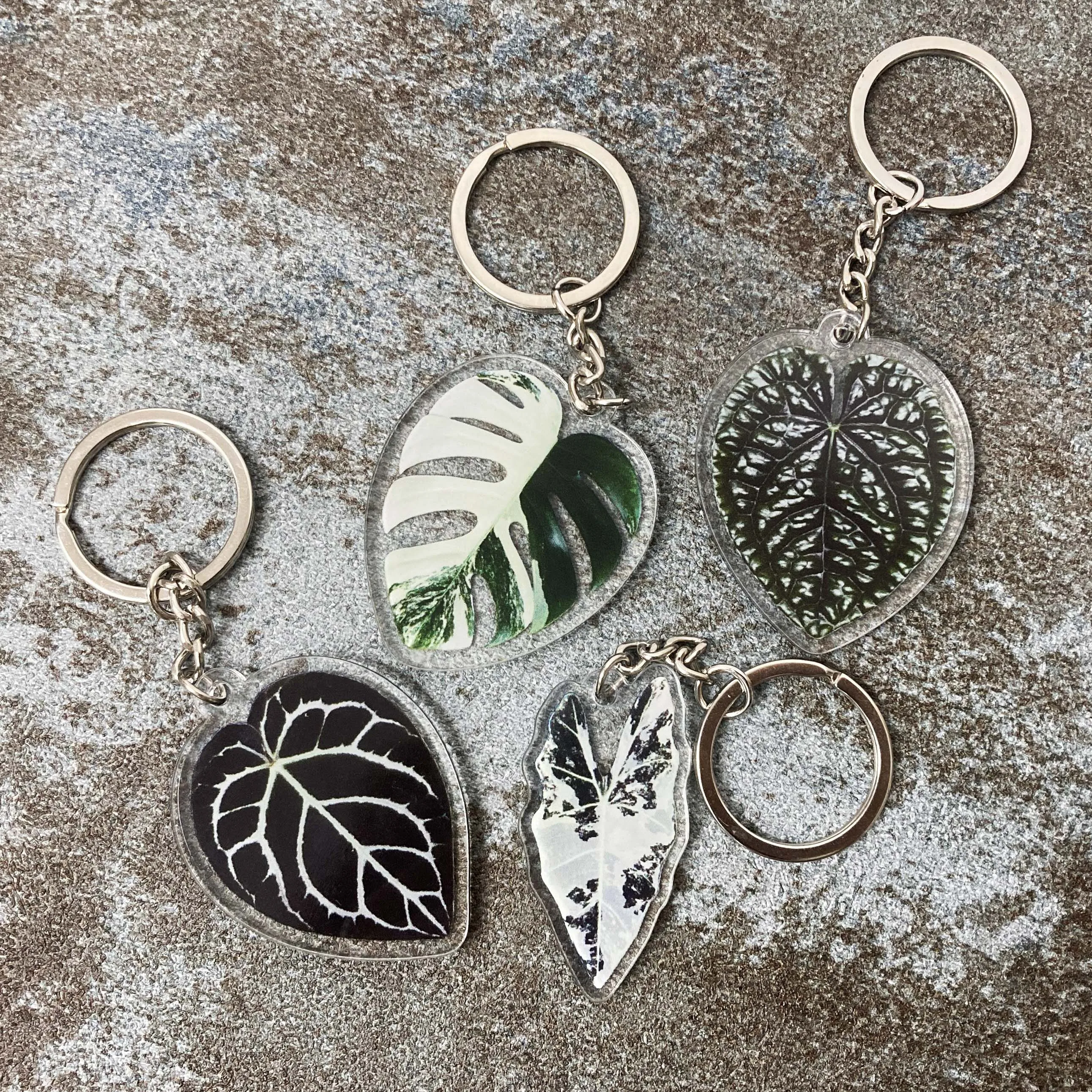 Tropical Plants Acrylic Keychains, Alocasia Leaf Design Acrylic Keychain