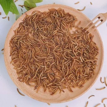 Dried mealworms with high nutrition top grade fish food